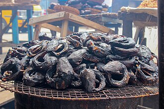 Dry Fish