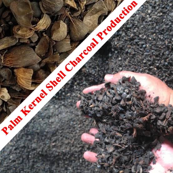 Palm Kernel